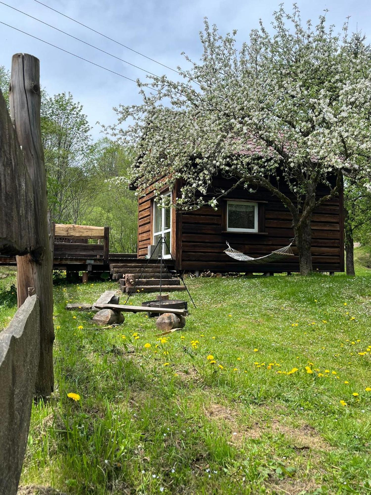Pod Dobrym Adresem- Domek Nad Stawem Чисна Екстериор снимка